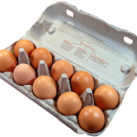 a carton holding 10 eggs